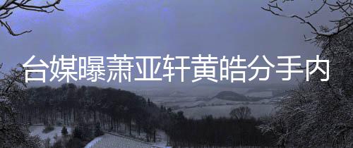 选择台媒态差曝萧黄皓后状亚轩内幕分手分手伤