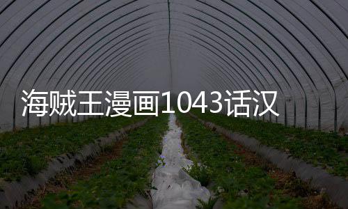 报剧新情透贼王海贼画13话汉化 海话最内容王漫