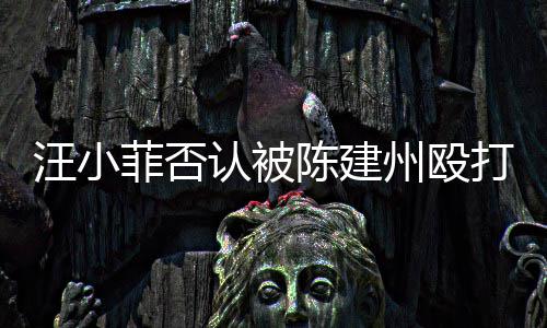 认被人陈打 道歉向黑州殴建州汪小菲否发文陈建