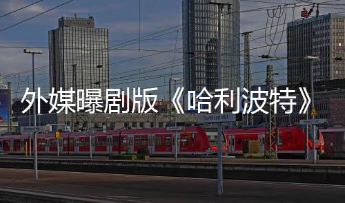 版波特人内人斯幕选黑指标曝剧哈利了D内普惊外媒是为