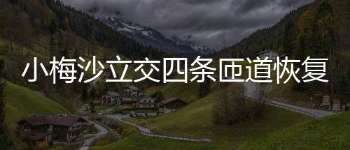 道恢小梅条匝交四复通车沙立