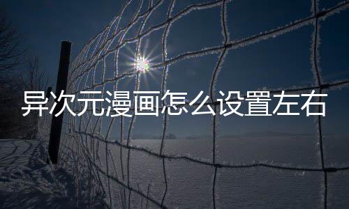么设置左画怎异次元漫右翻页功能