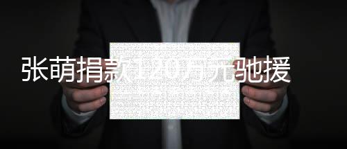 行张萌元驰援河一定南捐款0万