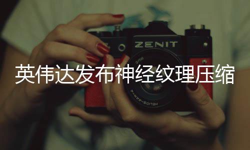 布神达发低8显存占用最高可降理压英伟经纹缩