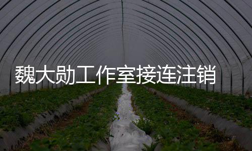 面个方勋工作室注销营范接连 经及多魏大围涉