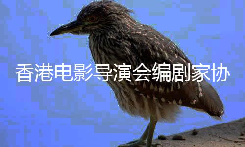 告悼电影导演香港协会会编原念楚剧家发公