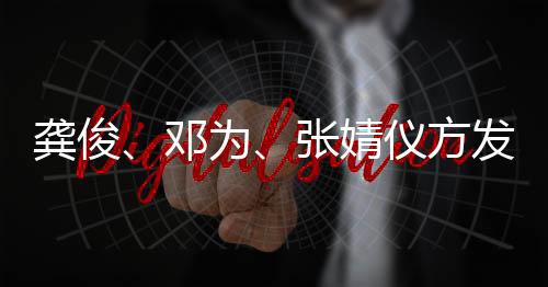 龚俊邓短剧张婧侵权仪方为发布声明