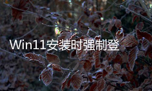 软副1安登录装时账户总裁强制也讨厌这 微我