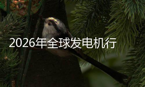 名规模电机行业先企球发领业国年全内外及排份额市场市场